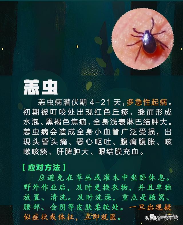 蜈蚣|被这种虫子咬一口，女子窒息身亡！被咬后千万别这样做