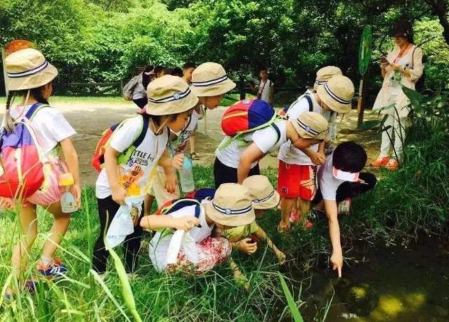 #你的育儿经#德国承包了一半“诺贝尔奖”，幼儿园却只教孩子这几样，值得一看