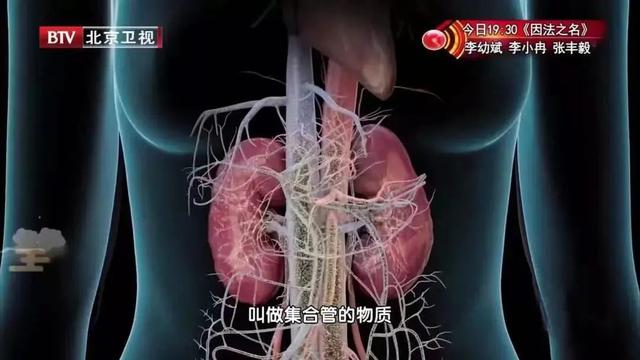 【健康】晨起第一杯水，很多人都喝错了！尤其这3类人，需要讲究！