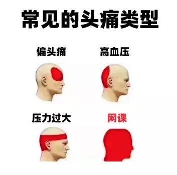 新华社■钉钉“历险记”背后，在线上课正在经历什么？| 思客问答