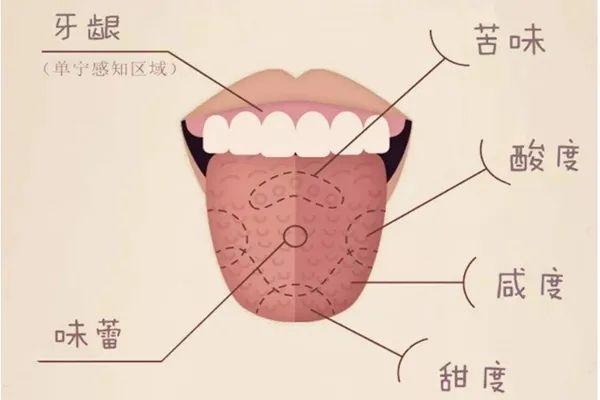 严肃科普：为什么冬天的铁栅栏是甜的？