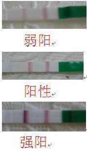 超级宝妈：早早孕试纸的结果准确吗?医生：请注意它的使用和结果判读