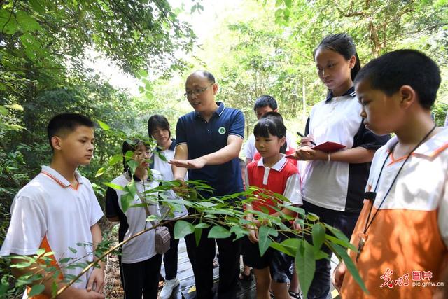 青少年|青少年走进森林 感悟自然之美