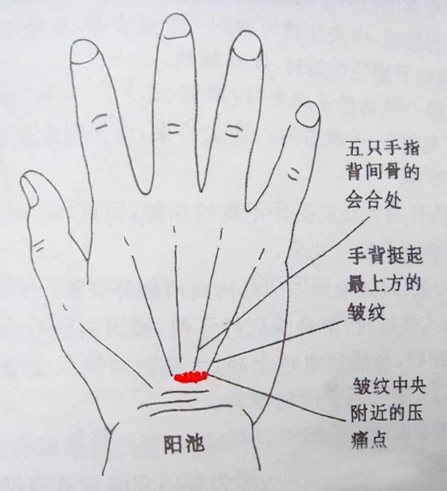 冬天到来，请记好你的保暖穴位！经常搓搓过凛冬