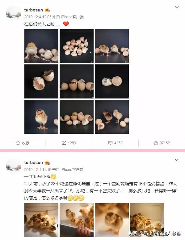 你的育儿经|章子怡成“孩子头儿”？素颜陪娃看书！汪峰：陪伴比血缘更重要