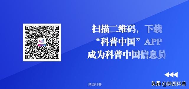 你所学到的急救知识，也许会害死你