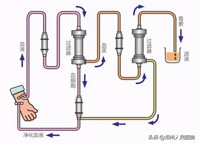 血“脏”了，真的可以洗吗？