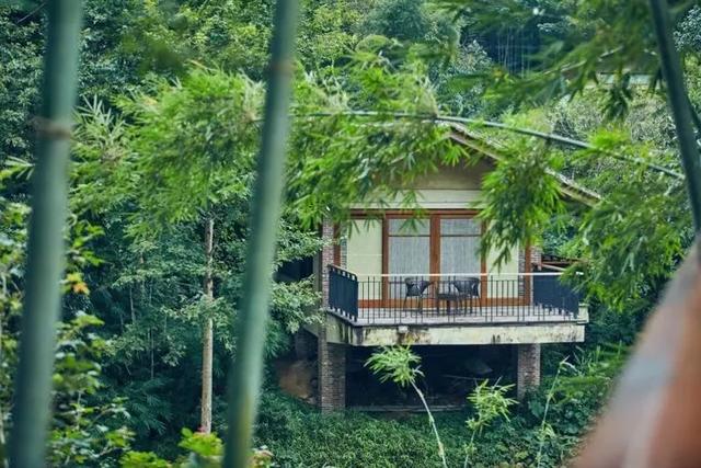 【旅行百事通】广东一顶级度假村重新开业，最新价格出炉，网友盛赞：平靓正