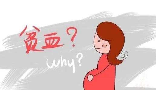 阳阳的家|叶酸为什么被准妈妈奉为上宾（二）