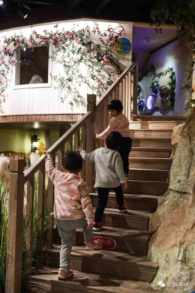 「玩乐足迹」北京首家室内动物园 · 和羊驼浣熊一起玩