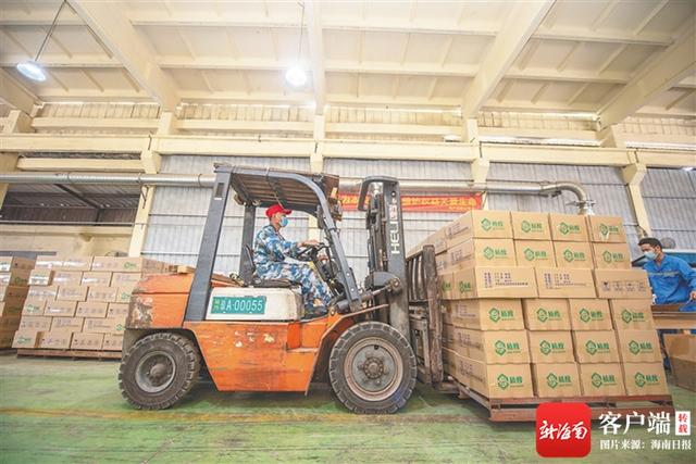 东馆|海垦宝橡林产集团采取超常规举措，以党建引领推进项目建设