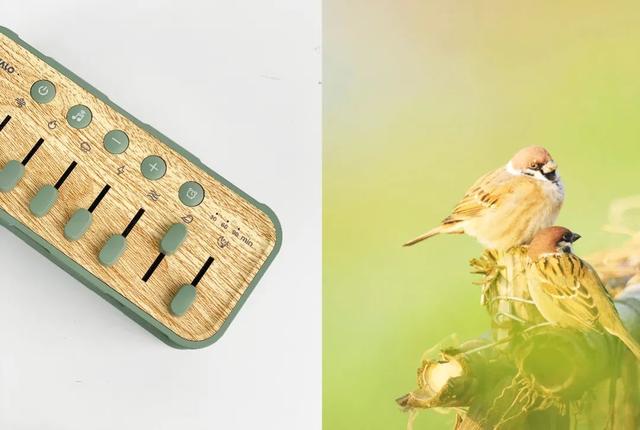 小米有品上架新型音箱，8种自然界音频，含255种声音组合方式