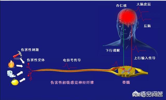 去甲肾上腺素|怕光、怕声、身体疼痛！精神科医生为你讲述“不一样的抑郁”