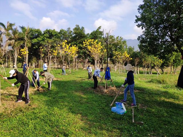 趣旅游@战“疫情” | 来星湖种下春天的希望,收获七彩的花海