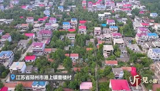 江苏省邳州市港上镇曹楼村拥有种植银杏的悠久历史.
