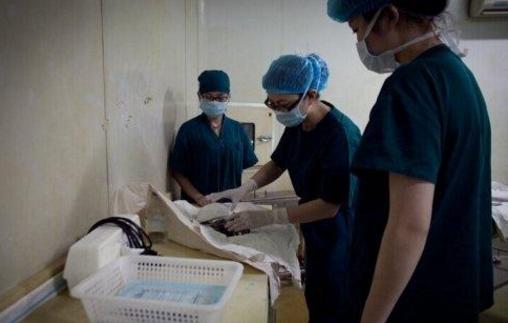 猫绘秋|产检时，女性“流产”真的能被看出来吗？产科大夫的话使人不淡定