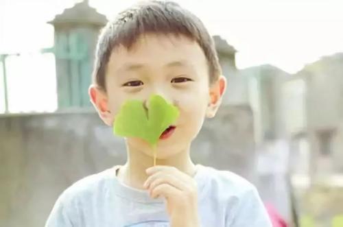 你的育儿经：教育男孩子从小做起！家长坚持5个原则，孩子长大后更阳光有担当
