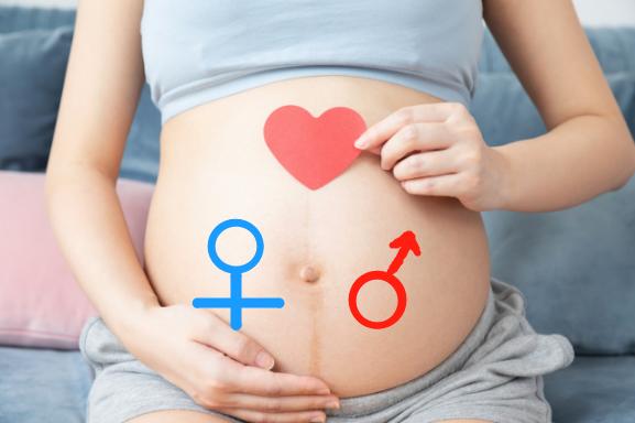 伐木累|孕晚期妈妈要不要继续上班呢？都有哪些需要注意的？