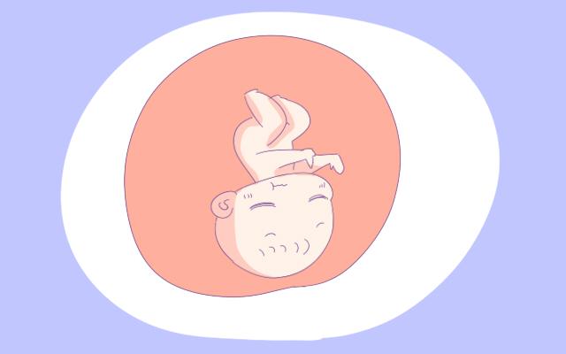 「超级宝妈」宝宝在肚子都在干什么？这些妈妈不知道的小动作，真是又萌又暖心