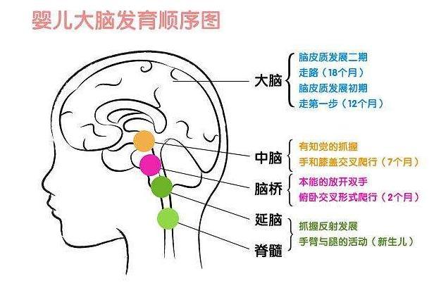 『你的育儿经』3~6岁孩子“数学启蒙”的最佳方案，不是阅读，而是这16种游戏