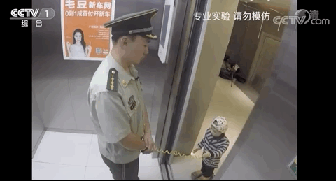 环球网|两岁女童被吊电梯门！家长别再犯这个错