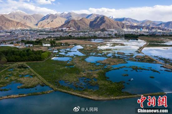 光明网■初夏的拉萨有多美?拉萨之肺拉鲁湿地醒了