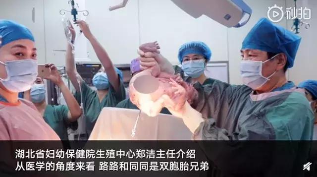 月儿弯|这对双胞胎兄弟，年龄竟然相差10岁？网友：还有这种神奇的操作