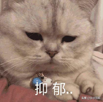 你的育儿经|老规矩真坑“妈”,还是看看专家教你坐月子怎么吃丨医学图解