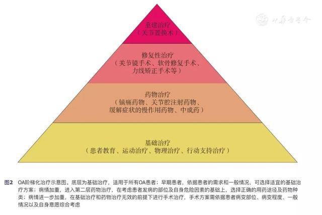 膝关节炎|膝关节炎的手术治疗（一）：软骨移植、膝关节镜。