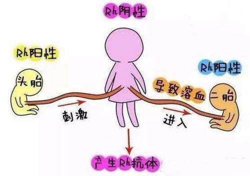 「你的育儿经」听说过“八字不合”,但夫妻“血型不合”才最危险,孕前需检查