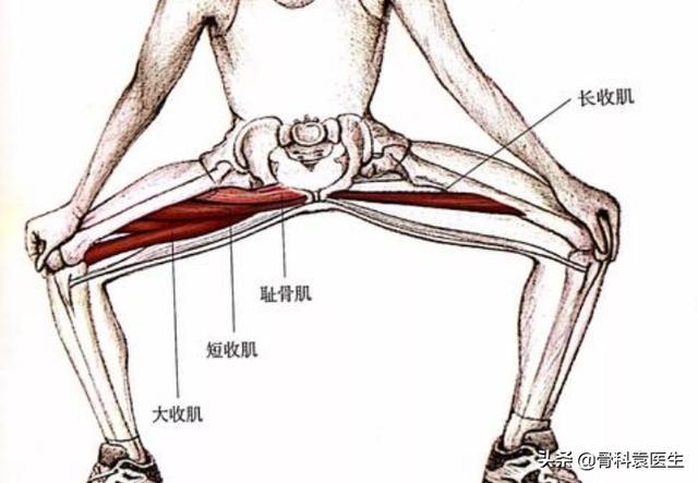 膝关节疼痛|膝关节位置的疼痛，第二大凶手，就是这根神经