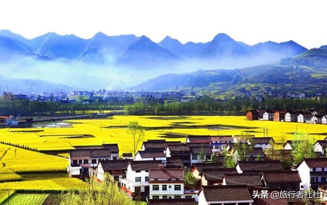「约吗旅行」百万亩油菜花盛开，处处诗情画意，致最美的汉中油菜花
