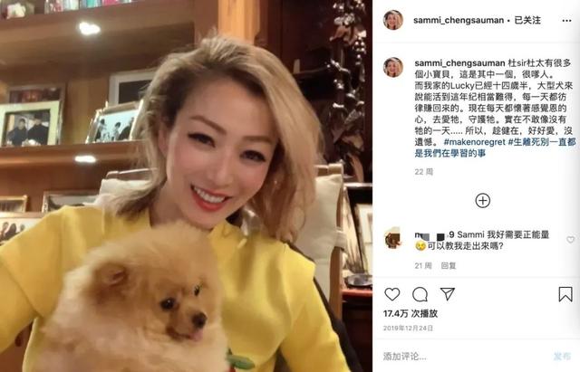 48岁郑秀文帮15岁爱犬按摩拉筋,尽职尽责陪它走完最后一程巴拉啦解说