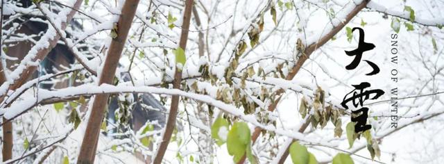 二十四节气 · 大雪 | 新品发布
