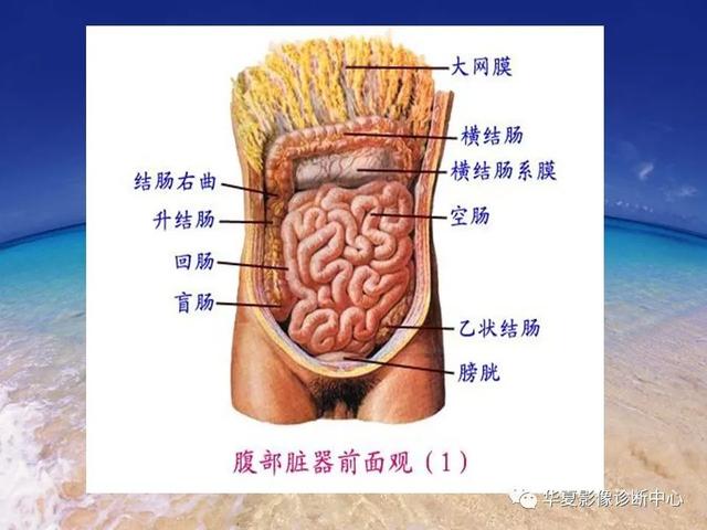 消化道穿孔的CT诊断