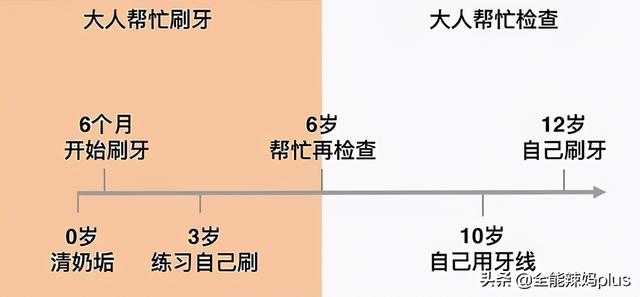 宝宝准确的出牙时间、顺序是什么？一张图告诉你，你家娃中了没