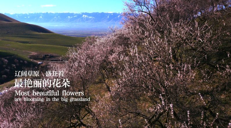 「文字上的青年」8部国产纪录片，让孩子深深认识到中国有多美！适合假期一起看