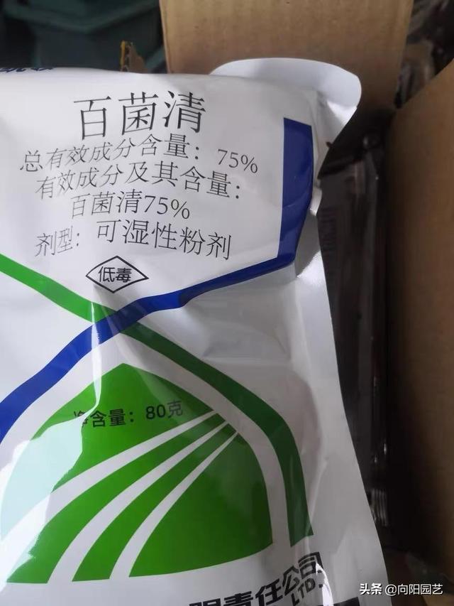 养多肉，必备“3种杀菌药”，学习使用方法，告别病菌，虫害