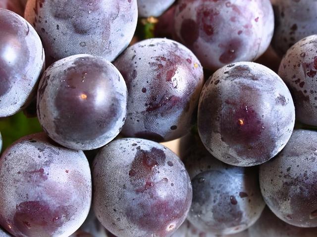 4大抗衰老效果明显的水果，建议爱美的人经常吃，帮你挽留青春