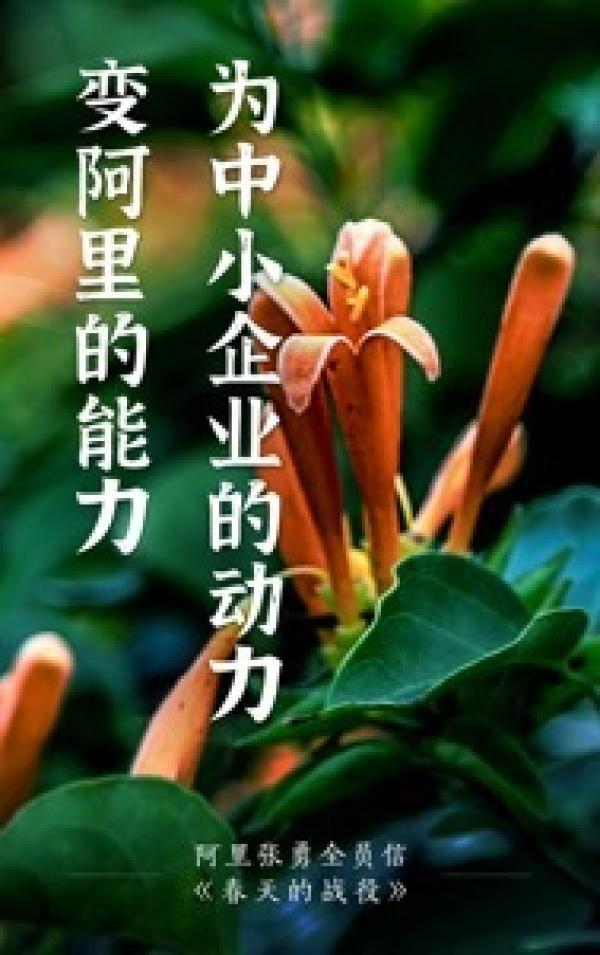 「中国网」阿里“春雷计划”扶助中小企业从“浙”里出发