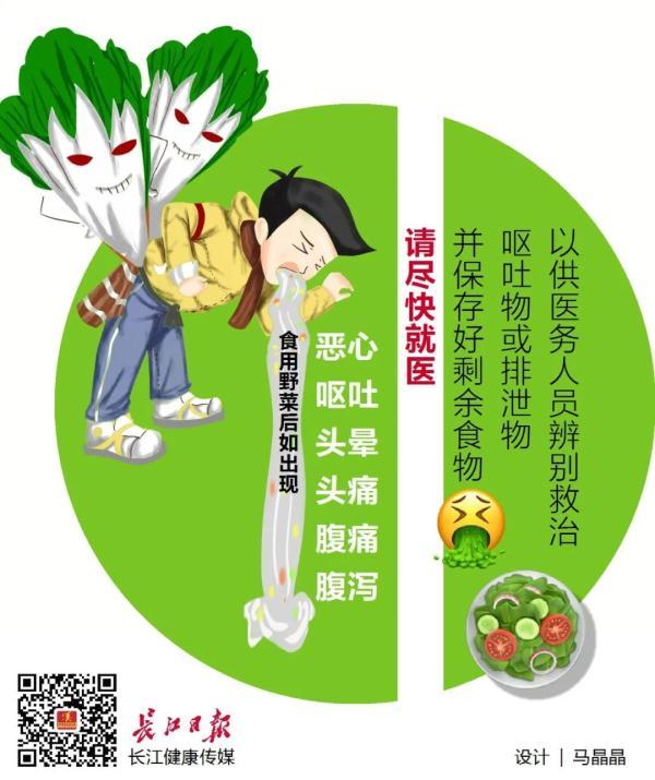 毒蘑菇|有毒，谨慎！疾控专家提醒→