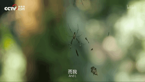 栀蓝：让1000万人又笑又哭的“人生第一次”：我们的孩子，好像一眨眼就长大了
