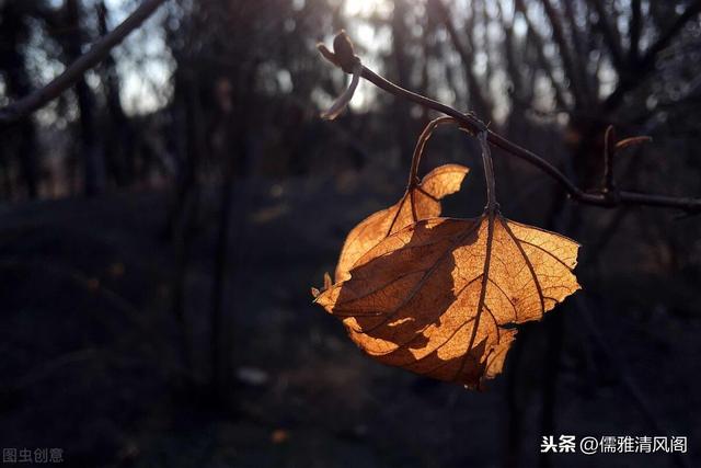 人心自安，天寒也心暖