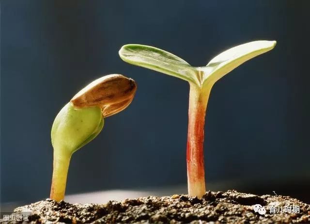 「暖先生格调」李玫瑾教授:教育孩子最大的问题,是该管的时候不管,不该管的时候开始管