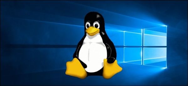 太平洋电脑网@Win10第二代Linux子系统WSL2将随v2004正式版上线