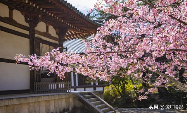 『世界那么大』你喜欢出国游吗？哪里给你的旅游体验最好？