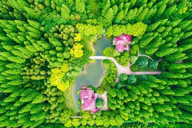 休闲|崇明这项上海之最，你必须知道