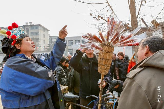 「世界那么大」古镇的古树都长到古宅的房间里了 奇怪的是却名不见经传