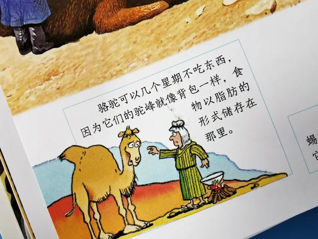 「影视交流地」黄圣依被5岁儿子嫌弃却获赞无数:用百科书喂大的孩子眼界不一般