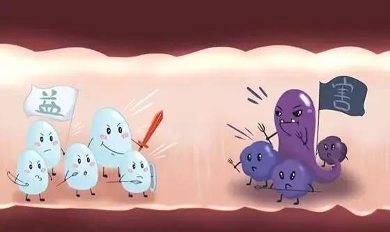 [你的育儿经]怎么提高抵抗力才有用？知乎母婴专家告诉你